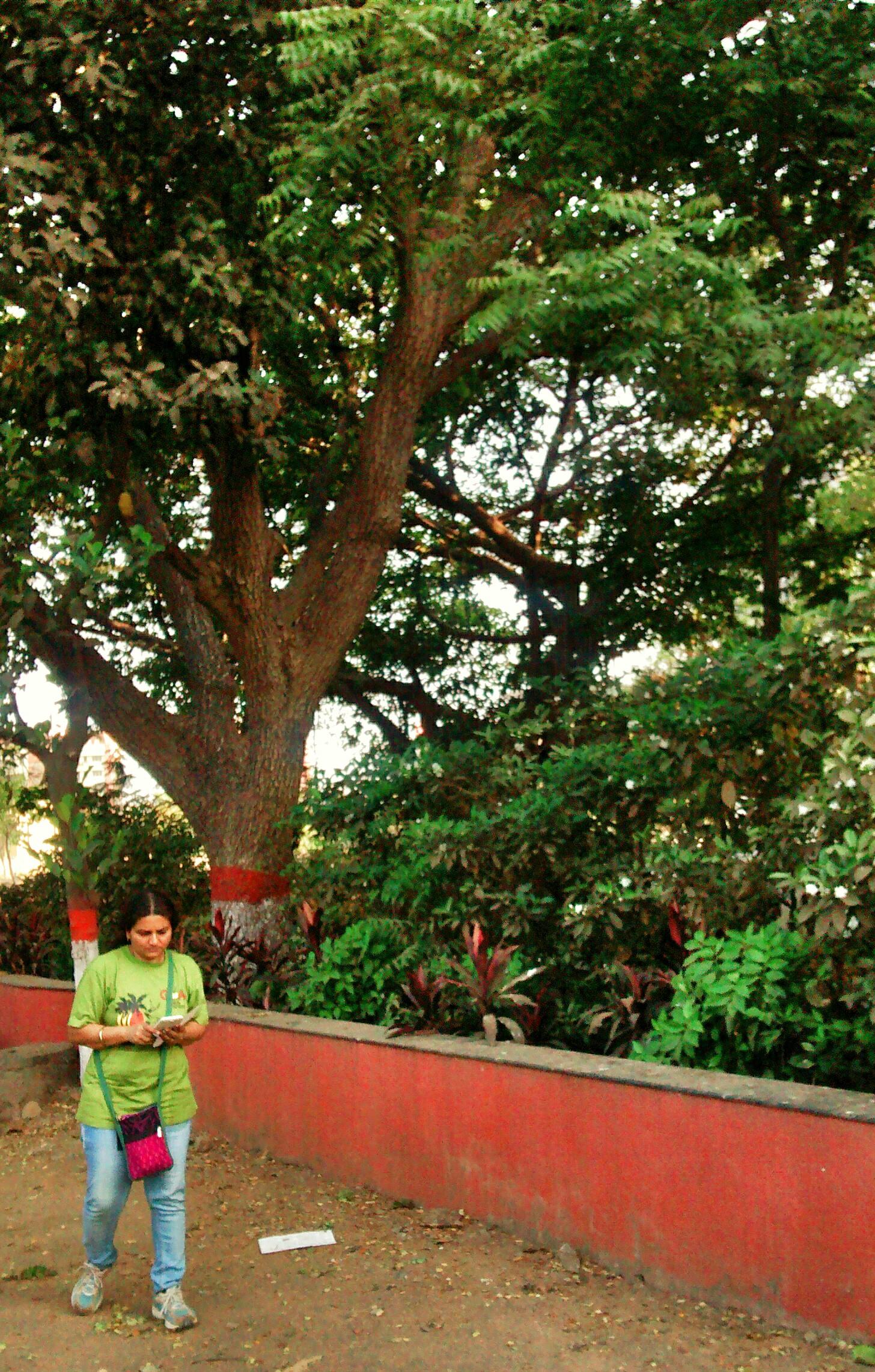 Mumbai Attracts $2.3 Billion in Tech Investment, Accelerates Digital Transformation
