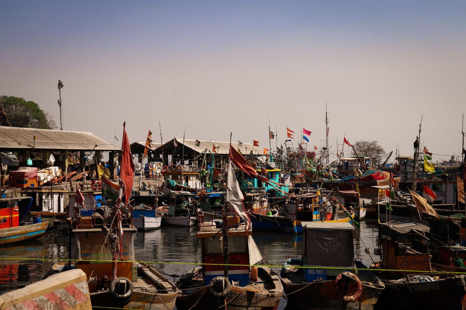 Sassoon Dock Mumbai